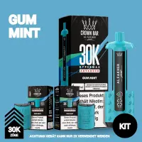 Al Fakher | Hypermax 30K Kit | Gum Mint