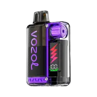 Vozol | Vista Plug 15K (TPD) | BLUEBERRY RASPBERRY LEMON...